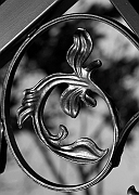 Wall_Art_Alphabet_Photography_Art_ 687